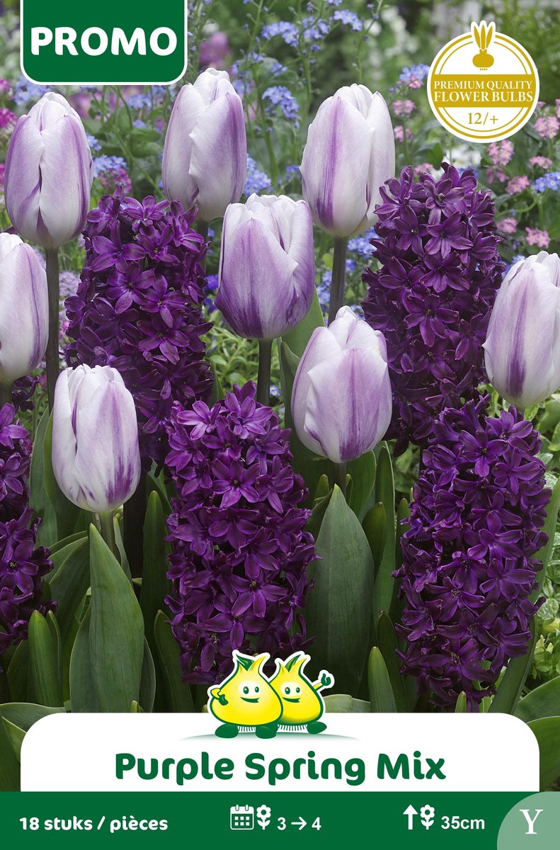 1 Zakje Promoverpakking Purple Spring Mix 18 stuks maat 12/+