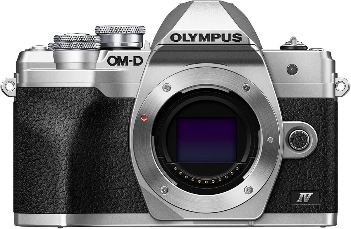 SnelShoppen - Compacte Systeemcamera 20 MP met WiFi, 4K Video en Vouwbaar LCD Scherm, Zilver, Ideaal voor Zelfportretten en Actiefoto's