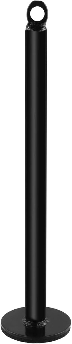 SnelShoppen - Weight Plate Load Pins voor Pulley System, Stalen Pens voor Dumbbell en Gewichtheffen, 320mm, Geschikt voor Thuis en Gym, Verbeter je Tr
