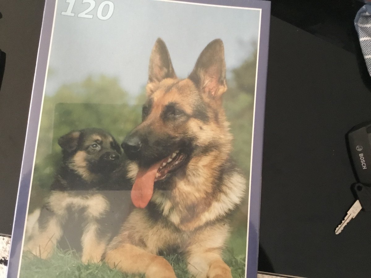 Set van 3 kinderpuzzels - dierenthema - vanaf 4 jaar - 120 stuks
