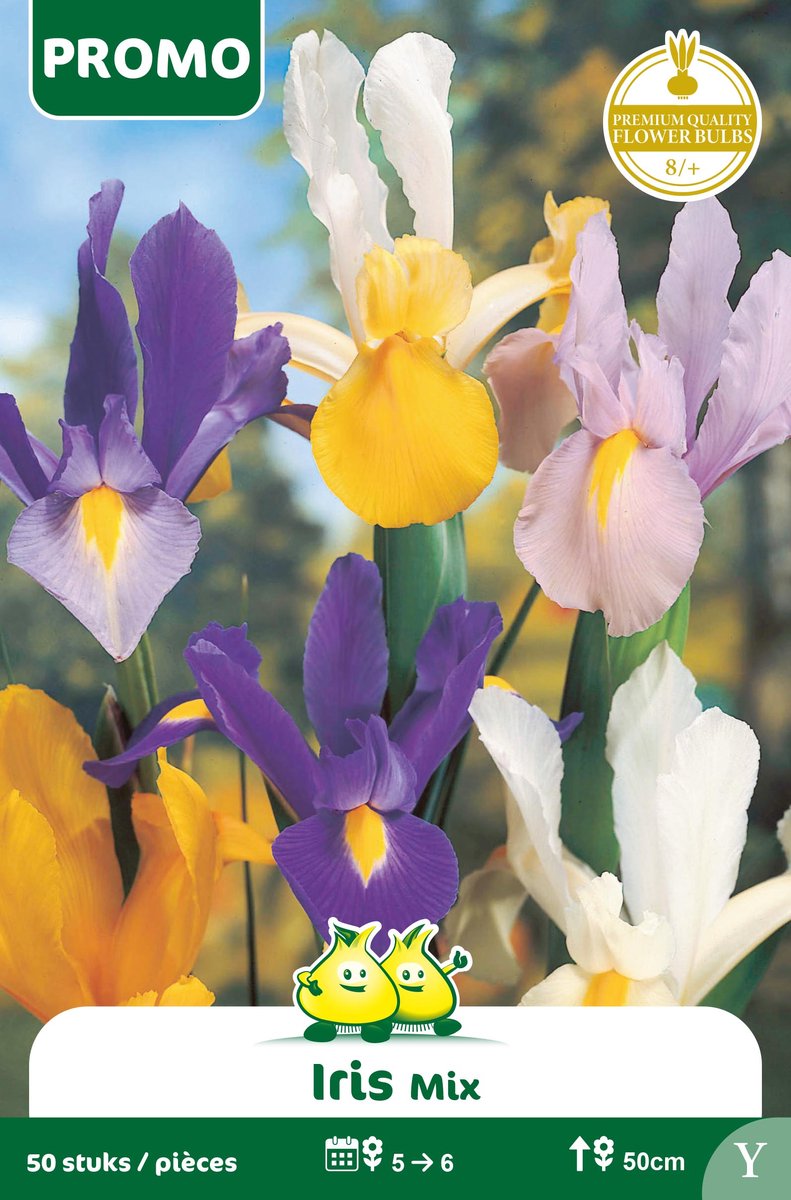 1 Zakje Promoverpakking Iris Mix 50 stuks maat 8/+