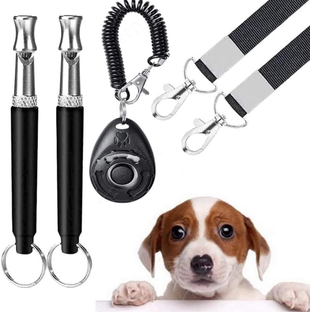 SnelShoppen - 2 stuks hondenfluitje met clicker trainingsset - Ultrasoon fluitje voor honden - Hoge frequentie - Educatief gereedschap met koord - Per