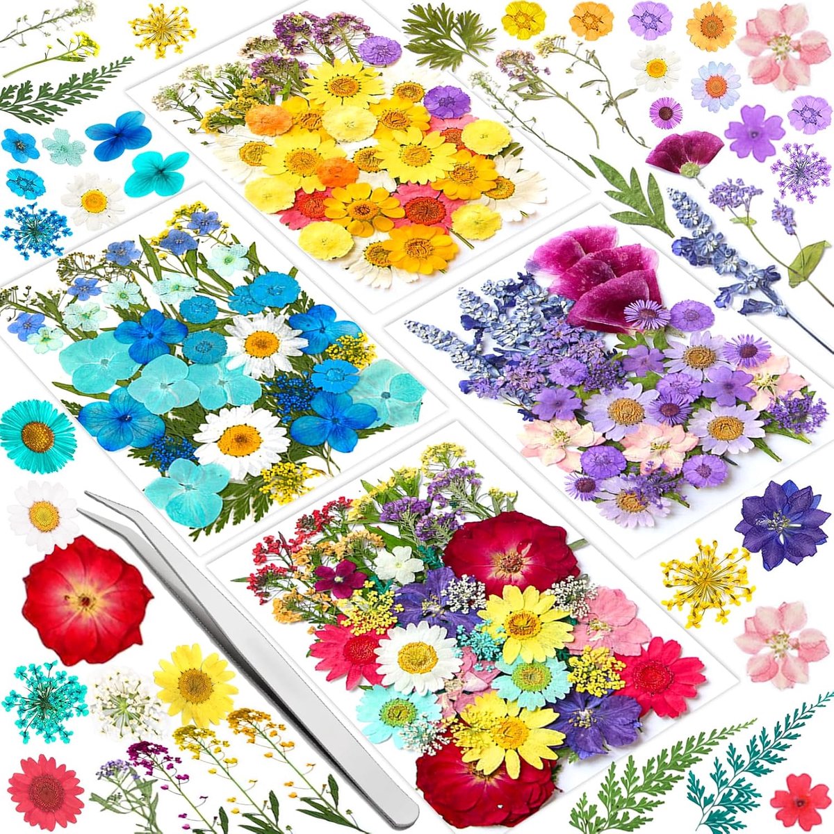 SnelShoppen - 159 Natuurlijke Gedroogde Bloemen, DIY Geperste Bloemen Met Pincet, Perfect Voor Sieraden Knutselen, Creatieve Decoratie, Hars Projecten