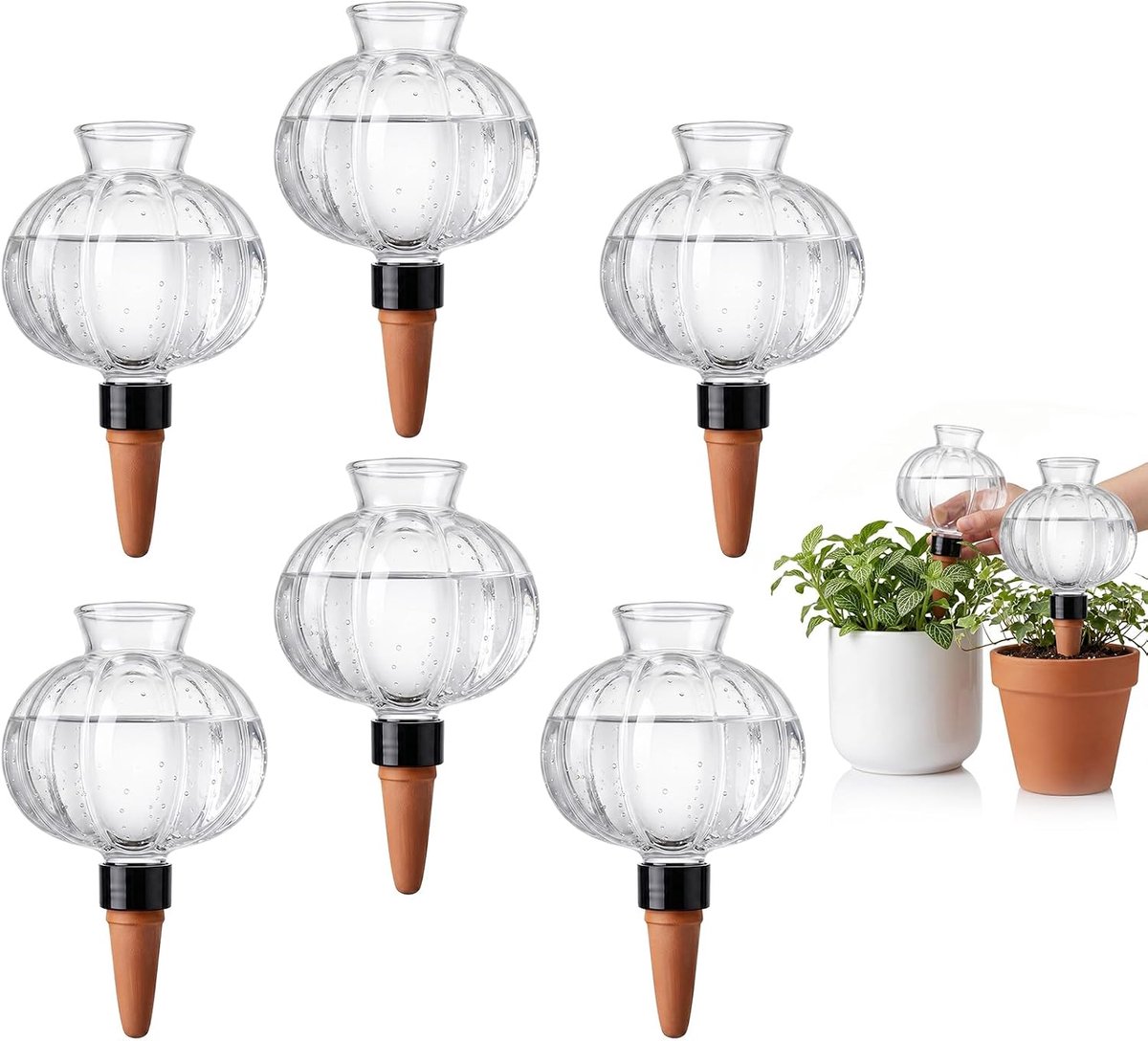 SnelShoppen - Bewateringsballen 6 Stuks Automatisch Bewateringssysteem 500ml Transparant Waterdispenser voor Planten, Zelfbewatering Binnen en Buiten,