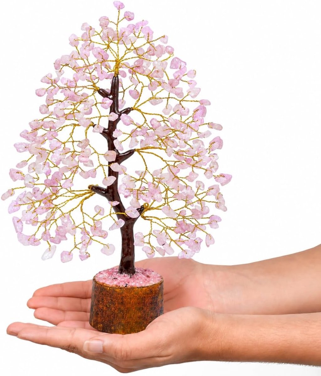 SnelShoppen - Crocon Rudraksh Beads Bonsai Geluksboom voor Chakra Balancing en Welvaart - Handgemaakt in India - Decoratie voor Thuis en Kantoor - Spi