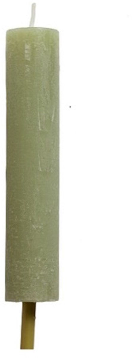 Tuinfakkel eucalyptus