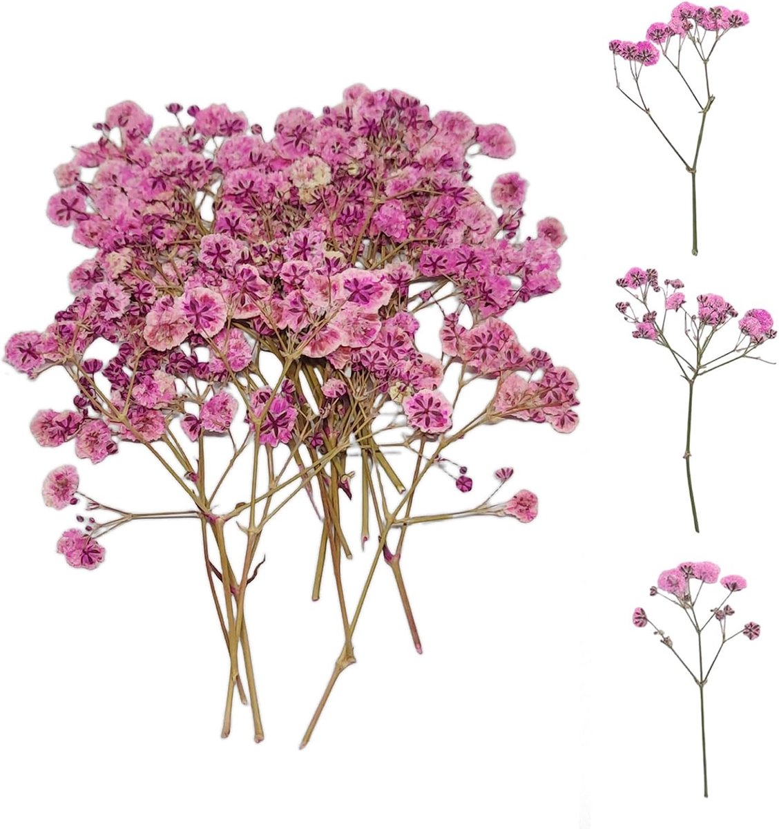 SnelShoppen - Pack van 50 Gedroogde Bloemen, Kleine Baby's Breath, Natuurlijke Roze en Delicate Bloemen voor DIY Kaarsen, Hars, Sieraden, Nagelkunst e