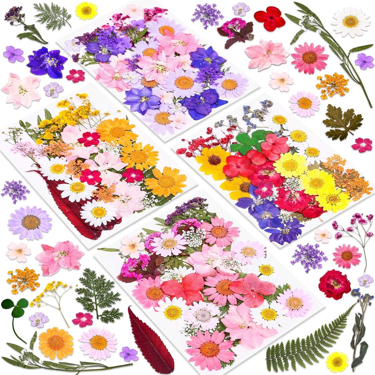 SnelShoppen - 140pcs Gedroogde Geperste Bloemen voor Hars, Echte Geperste Bloemen en Droge Bladeren, Natuurlijke Kruiden Kit voor Scrapbooking, DIY Cr