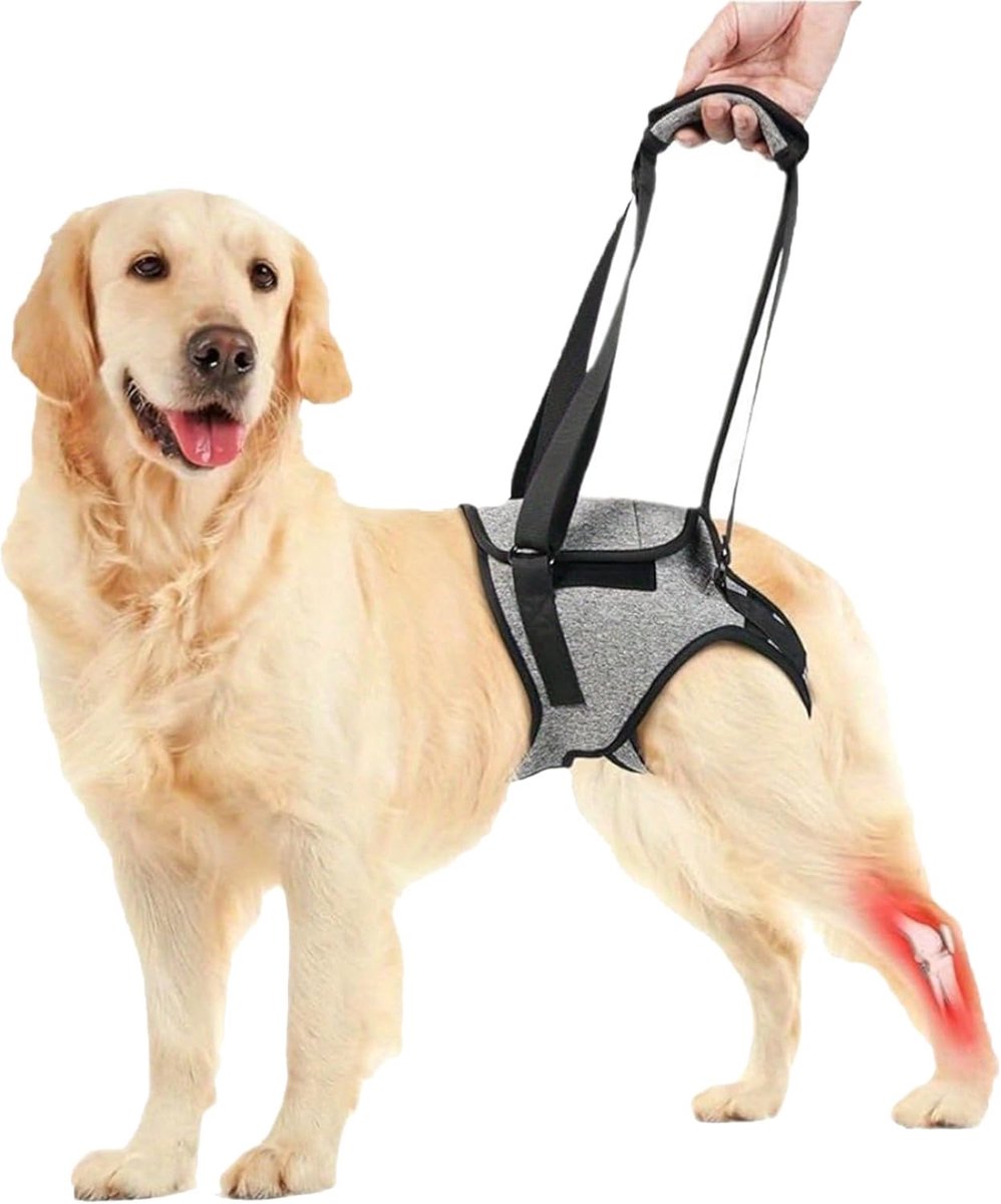 SnelShoppen - Dog Carrying Aid, Verstelbare Tillend, Draagharnas voor Honden, Groot, Grijs, 10-20 kg, Geschikt voor Revalidatie van Oudere, Gewonde en