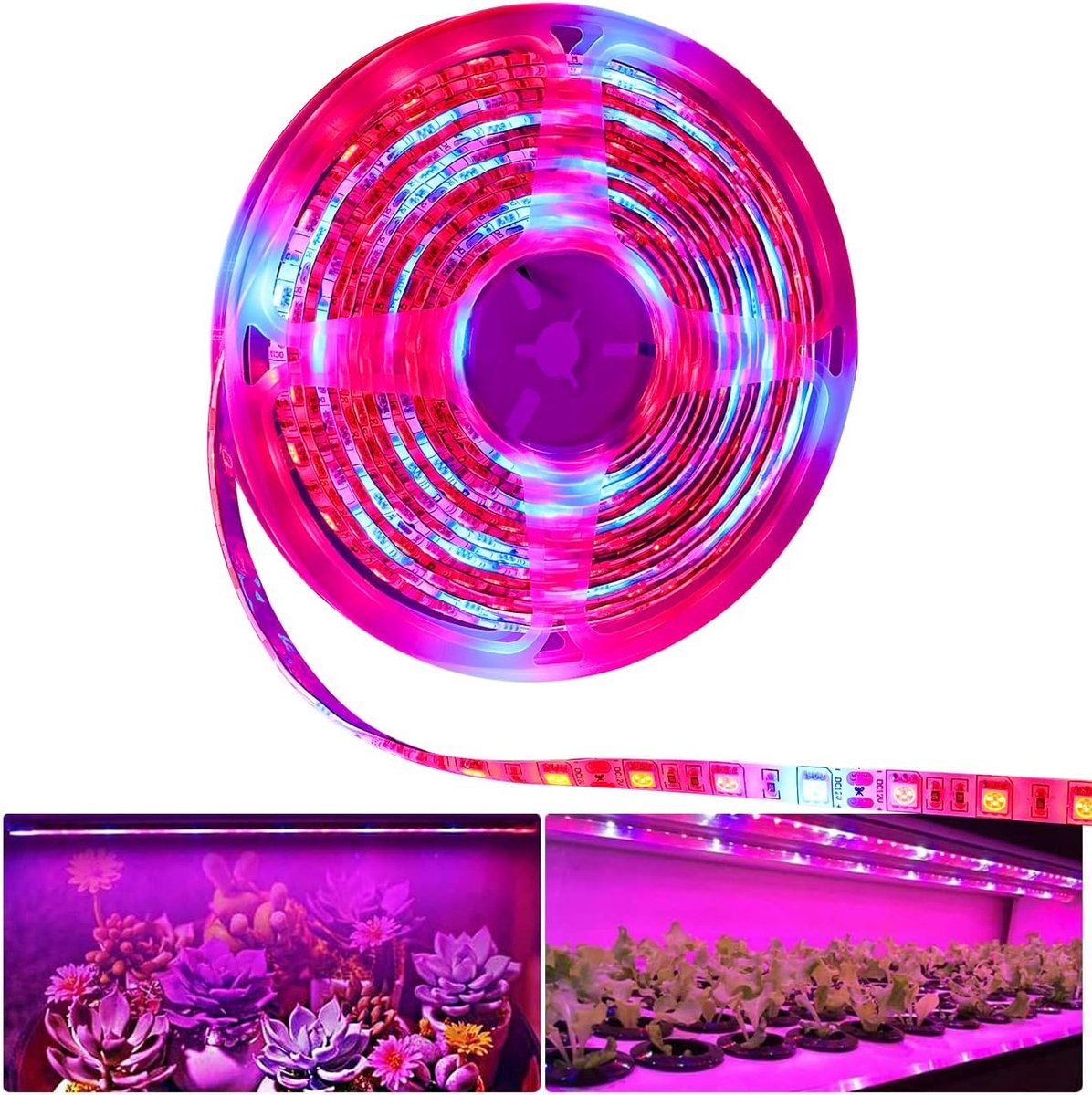 SnelShoppen - LED Plantgroei Strip Light DC 12V IP65 Full Spectrum SMD 5050 Rood Blauw 5:1 LED Strip voor Aquariums, Kassen, Tuinplanten