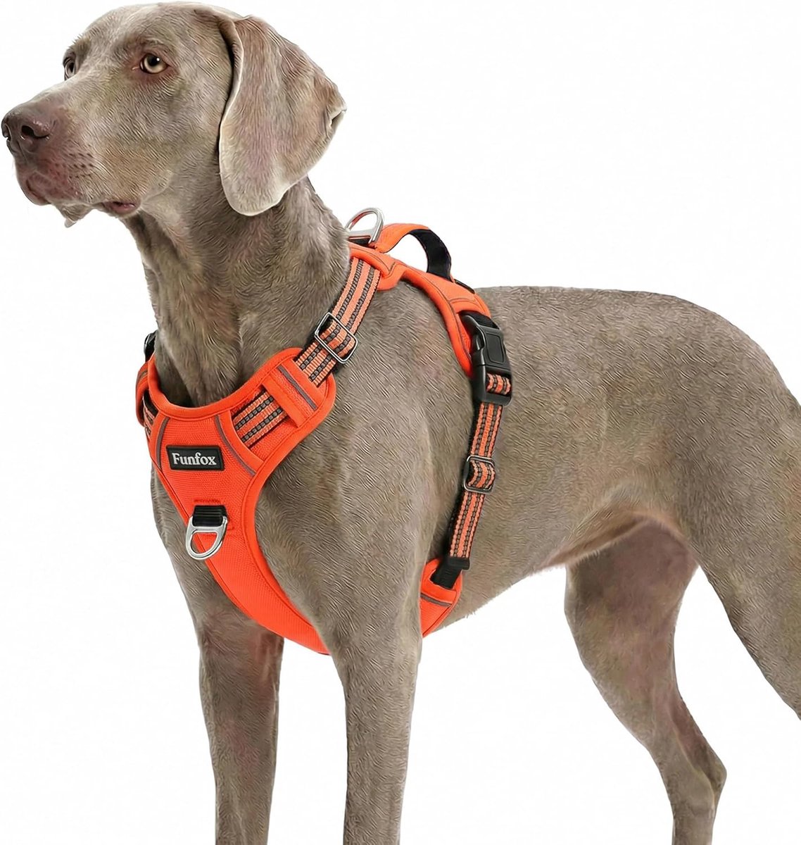 SnelShoppen - Hondenharnas voor Grote Honden, No Pull Harnas, Instelbaar, Anti-Trek Borstharnas, Ademend Veiligheidsharnas voor Middelgrote en Grote H