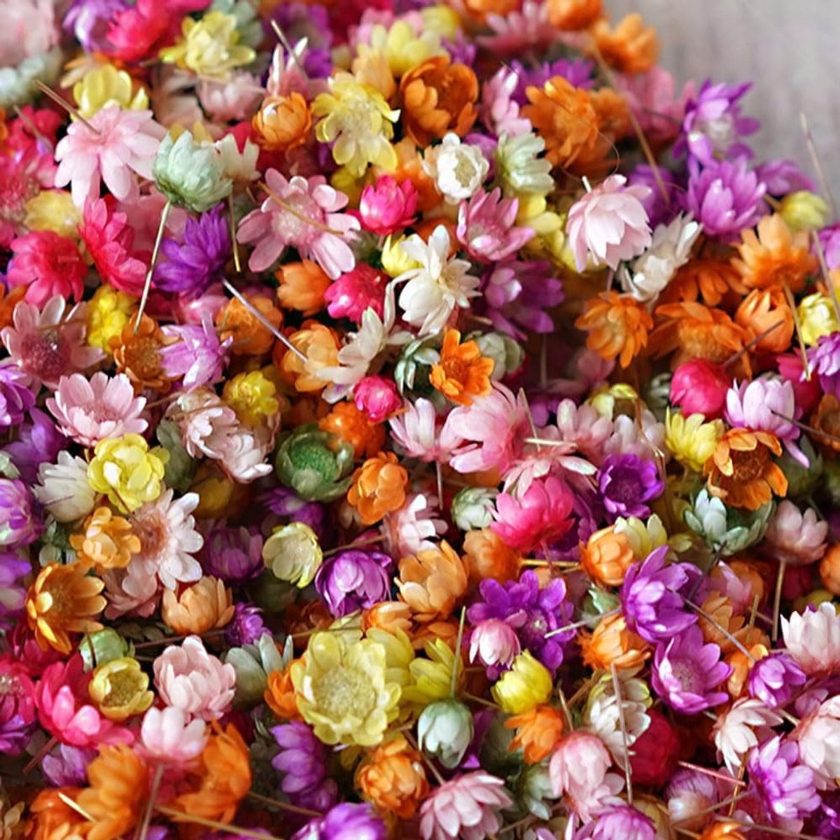 Mini Dried Flowers voor Resin - 280 Stuks Natuurlijke Kleine Gedroogde Bloemen, Kleurige Decoratie voor Hobbymaterialen en Ambachten