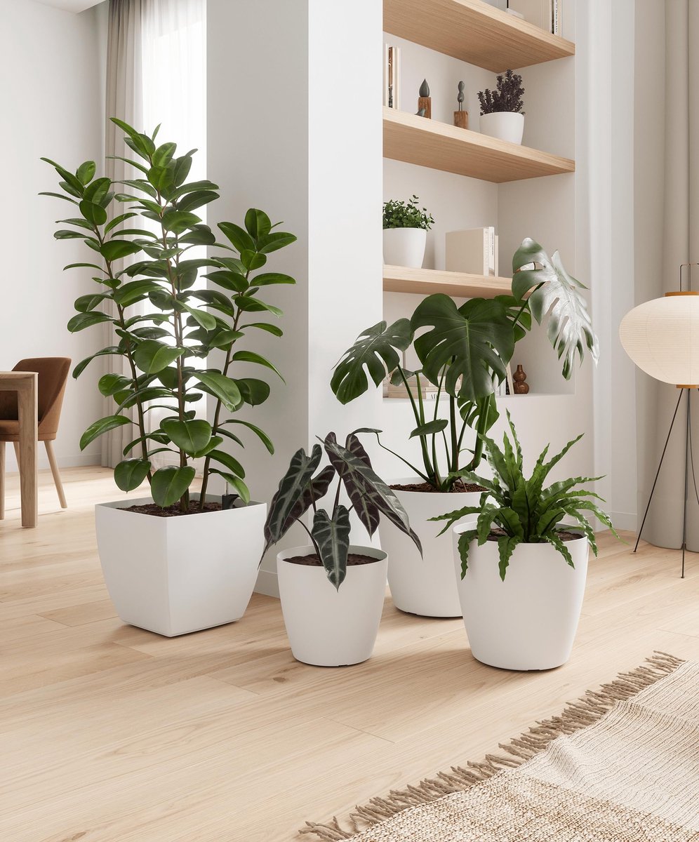 Vierkante bloempot met matte afwerking, kunststof 100% recyclebaar, 30cm, kleur Wit