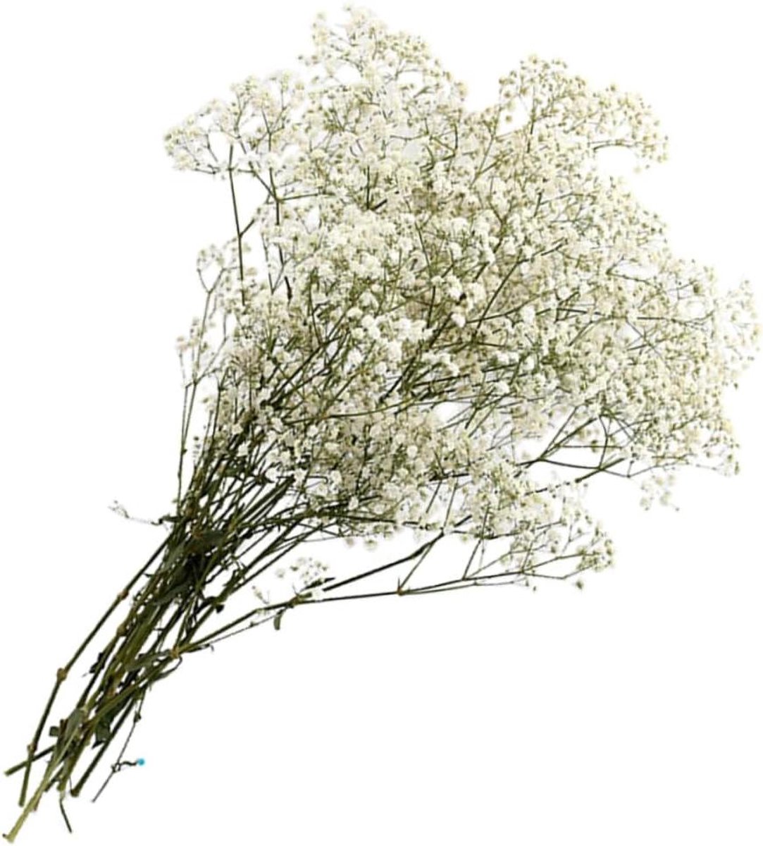 Gedroogde Gipskruid Bloemen - Eeuwige Bloemen Decoratie - Huis Decoratie - Altijd Bloeiend - 20 x 20 x 20 cm