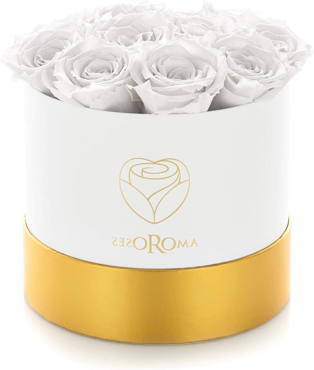Gestabiliseerde Rozen - Eeuwige Rozen - Cadeau Geven - Echte Rozen - 12 Stuks - Wit