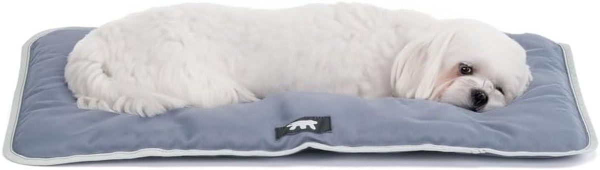 Hondenmand Kussen - Hondenmat - Comfortabel Rusten - Waterdicht Krasbestendig - 57x38 cm - Grijs