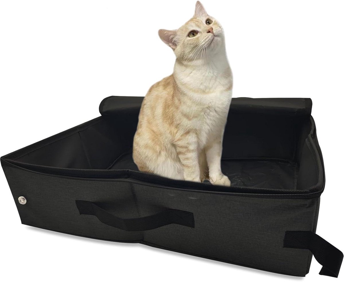 Kattenbak Opvouwbaar - Reisbak - Reizen met Kat - Waterdichte Stof - 47 x 36 x 13 cm - Zwart