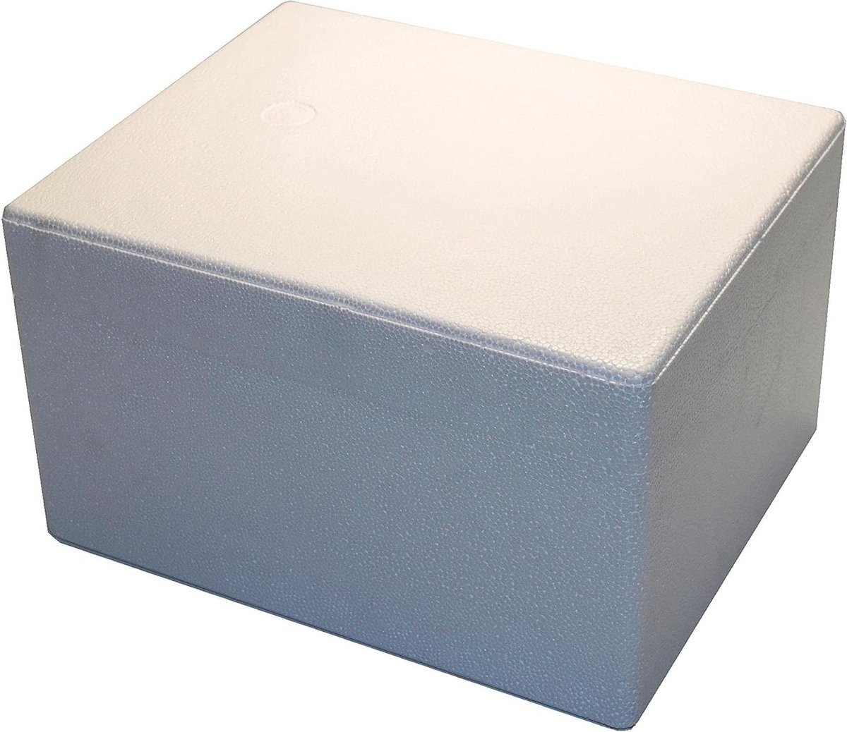 Piepschuimkisten - Thermobox Koelbox - Transport Gevoelige Goederen - Hoge Isolatie-eigenschappen - 31 x 25 x 185 cm - Wit
