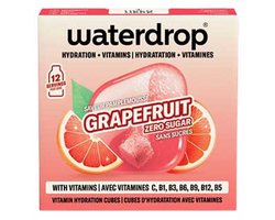Waterdrop Microdrink summer grapefruit 12 stuks
