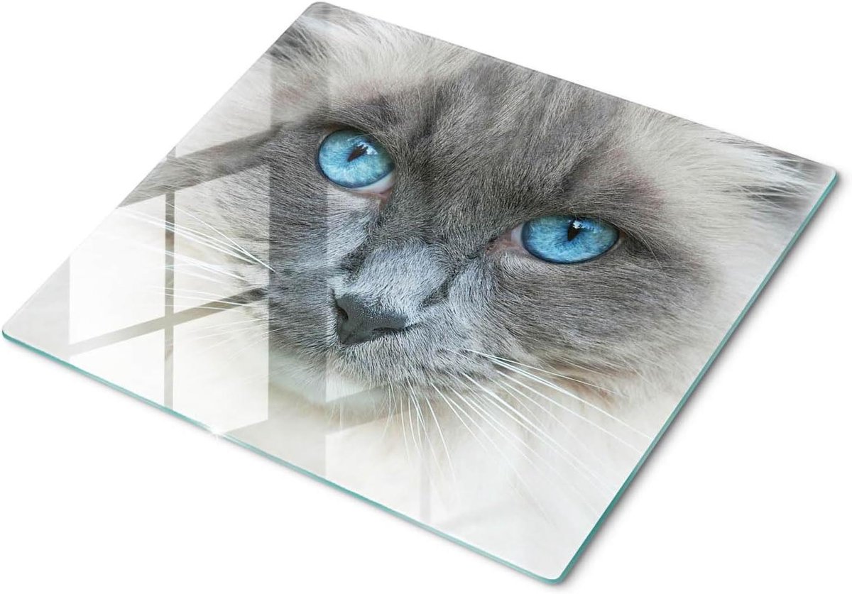 Glazen Snijplank - Keukenbeschermer Achterwand - Keukenwerkblad Beschermen - Hittebestendig Gehard Glas - 60x52 cm - Blauwe Kattenogen