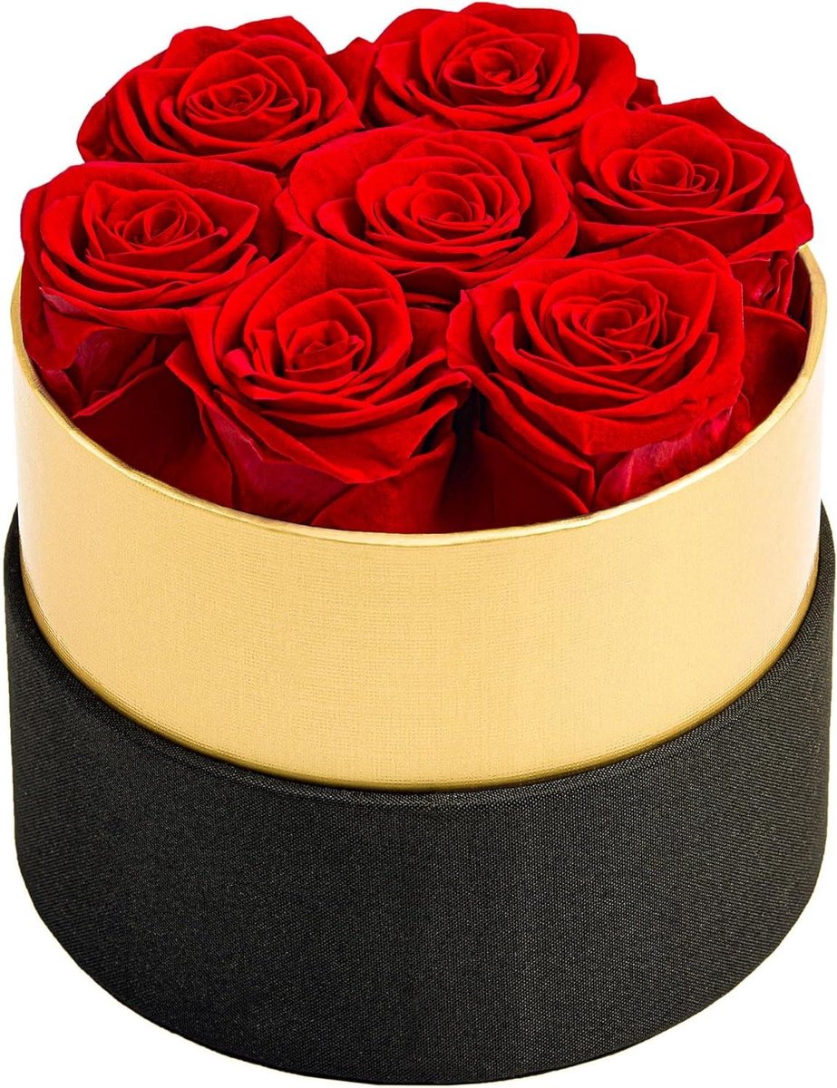 Geconserveerde Rozen - Eeuwige Bloemen - Romantisch Cadeau - Handgemaakt van Echte Rozen - 13 cm - Zwart en Goud