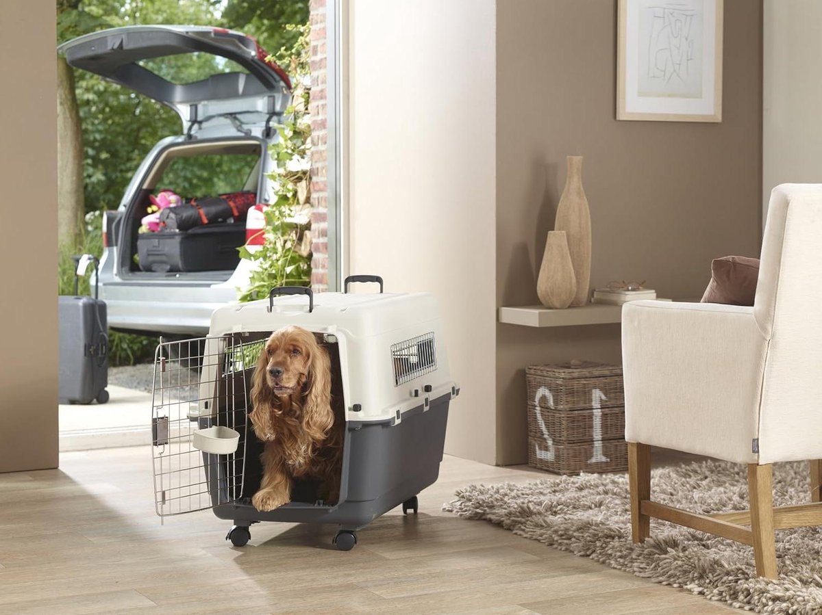 Transportbox Honden - Draagtas - Veilig Vervoer - Met Wieltjes - 80 x 56 x 59 cm - Grijs