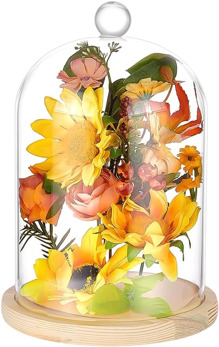 PandaHall Cloche Glazen koepel Clear Terrarium Display Dome met Top Handvat Houten Basis Bell Jar Cloche Flessen Vitrine voor Planten Bloem Klei Vetplanten Antieke Collectibles, 17,2 x 26 cm
