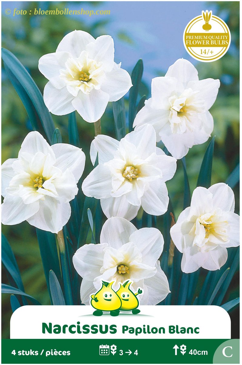 3 Zakjes Narcis Butterfly Papillon Blanc maat 14/+