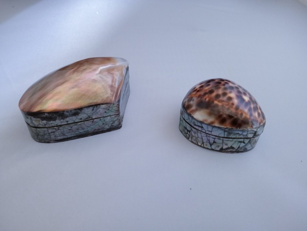 schelpendoos sieradendoos ringdoos pillendoos schelpen