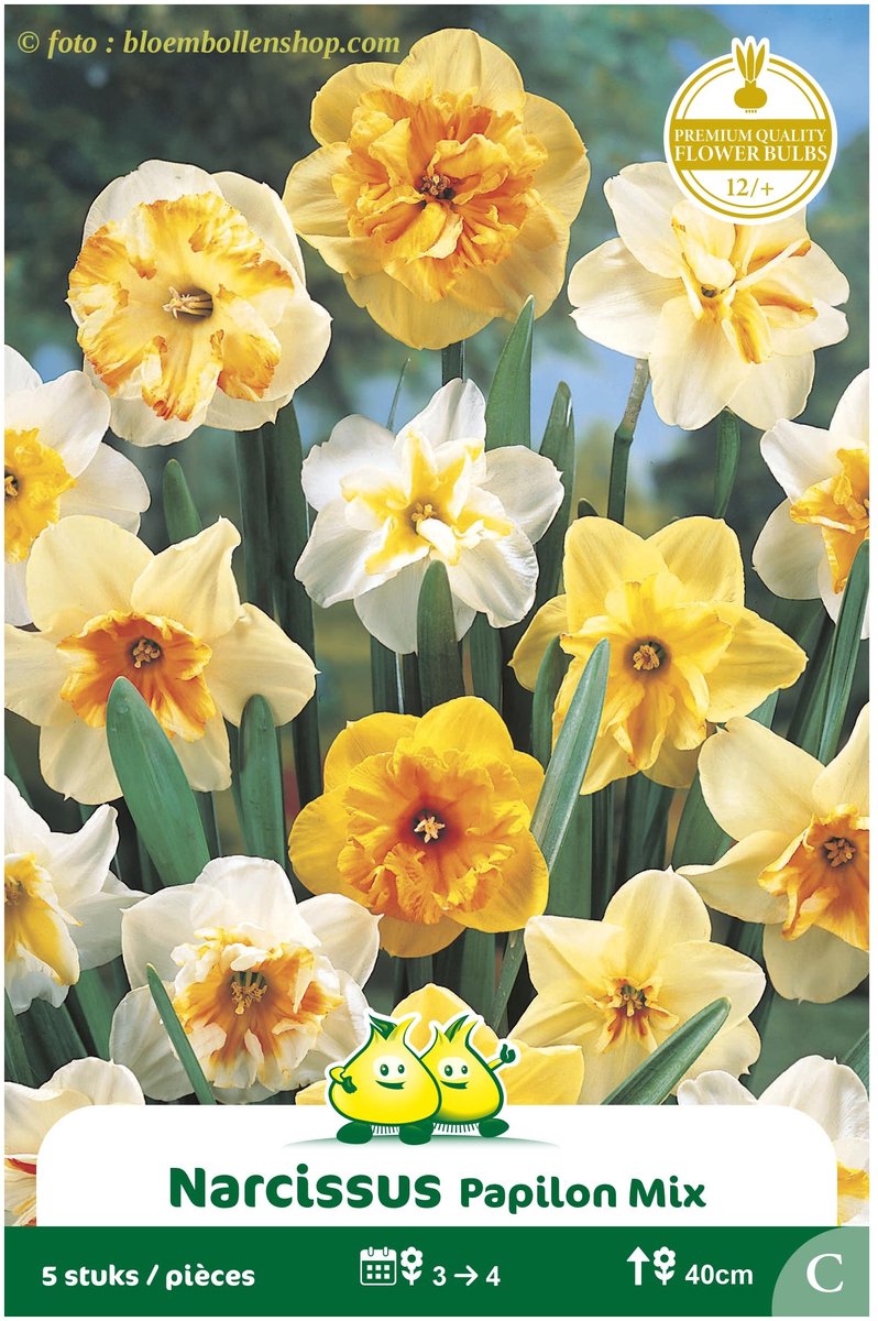 3 Zakjes Narcis Papillon Mix maat 14/+
