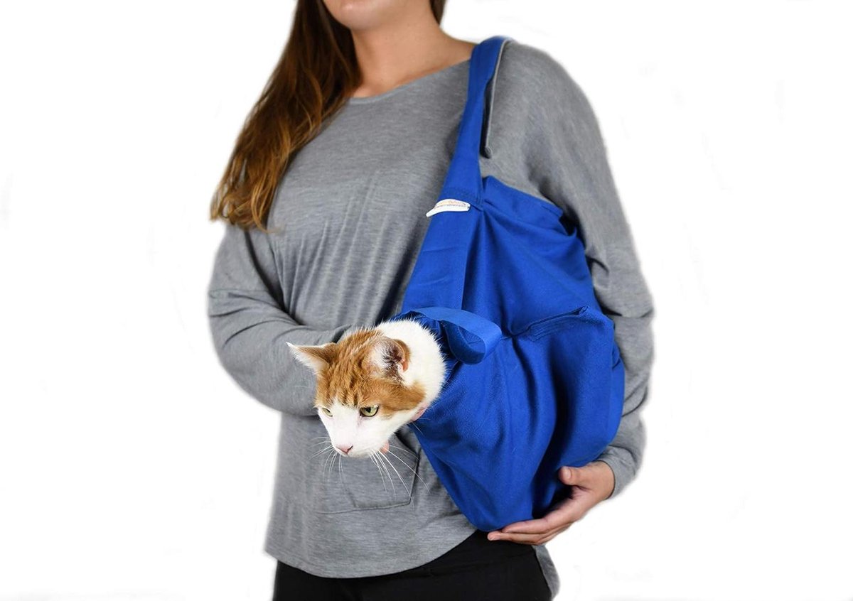 Draagzak Hond - Reistas Huisdier - Comfortabel Vervoer - E-Z Rits Opening - XL (9-16 kg) - Kobalt