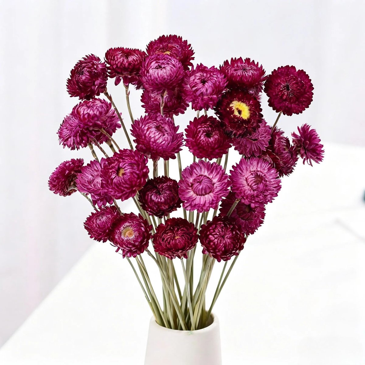 20 stuks decoratieve gedroogde madeliefjes, natuurlijke gedroogde bloemen en wooncultuur, boho-decoraties voor thuis, voor bruiloften, feesten, knutselprojecten (paars)