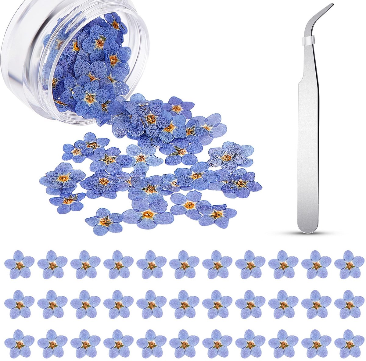 80 Stuks Natuurlijke Vergeet Me Niet Gedroogde en Geperste Bloemen - Blauw, Echt Gedroogde en Geperste Bloemen Met Elleboog Pincet Voor Hars Scrapbooking Doe-het-zelf Sieraden
