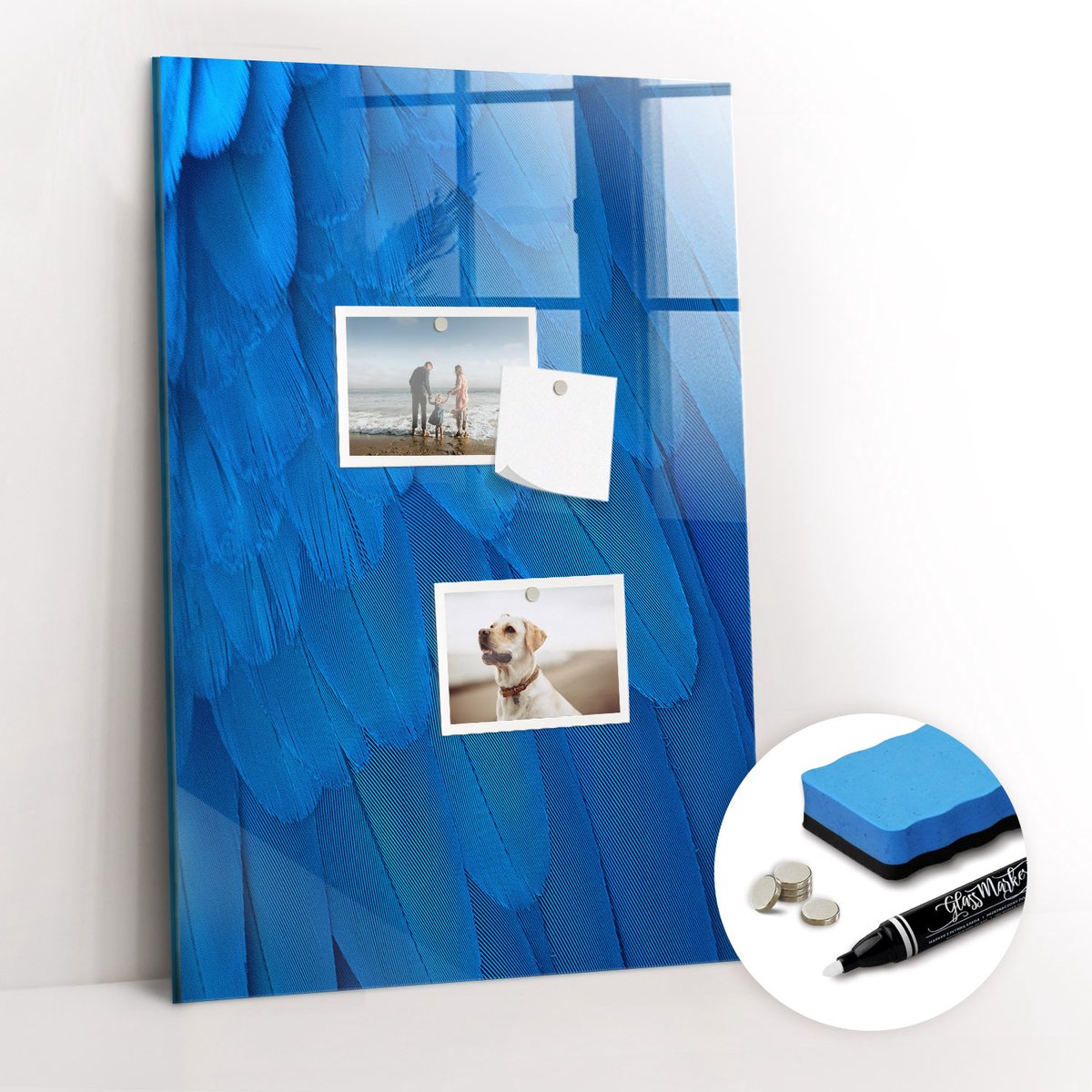 Tulup Whitebord - Vogelveer - 40 x 60 cm - Blauw Magnet Board - Gratis 5 Sterke Magneten + Whiteboard Marker & Wisser - Organizer Muur - Memo Bord - Notitiebord Werkplek