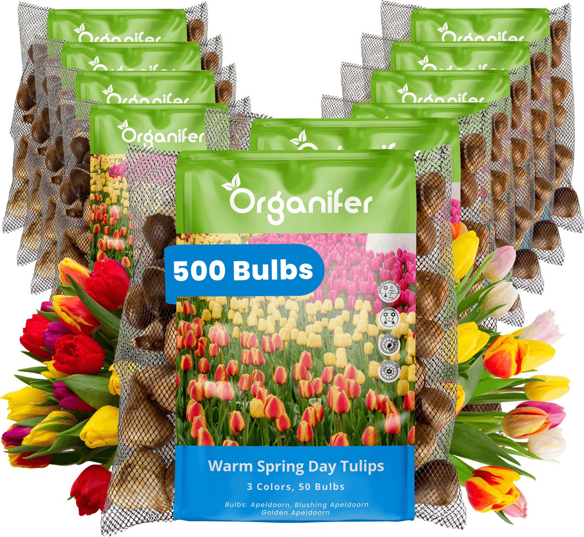 Tulpenbollen - 500 Bloembollen - Warm Spring Day - Apeldoorn Mix Geel Oranje Rood - Organifer
