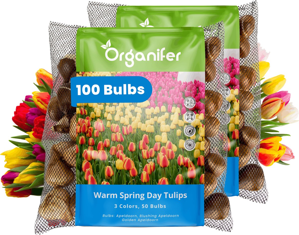 Tulpenbollen - 100 Bloembollen - Warm Spring Day - Apeldoorn Mix Geel Oranje Rood - Organifer