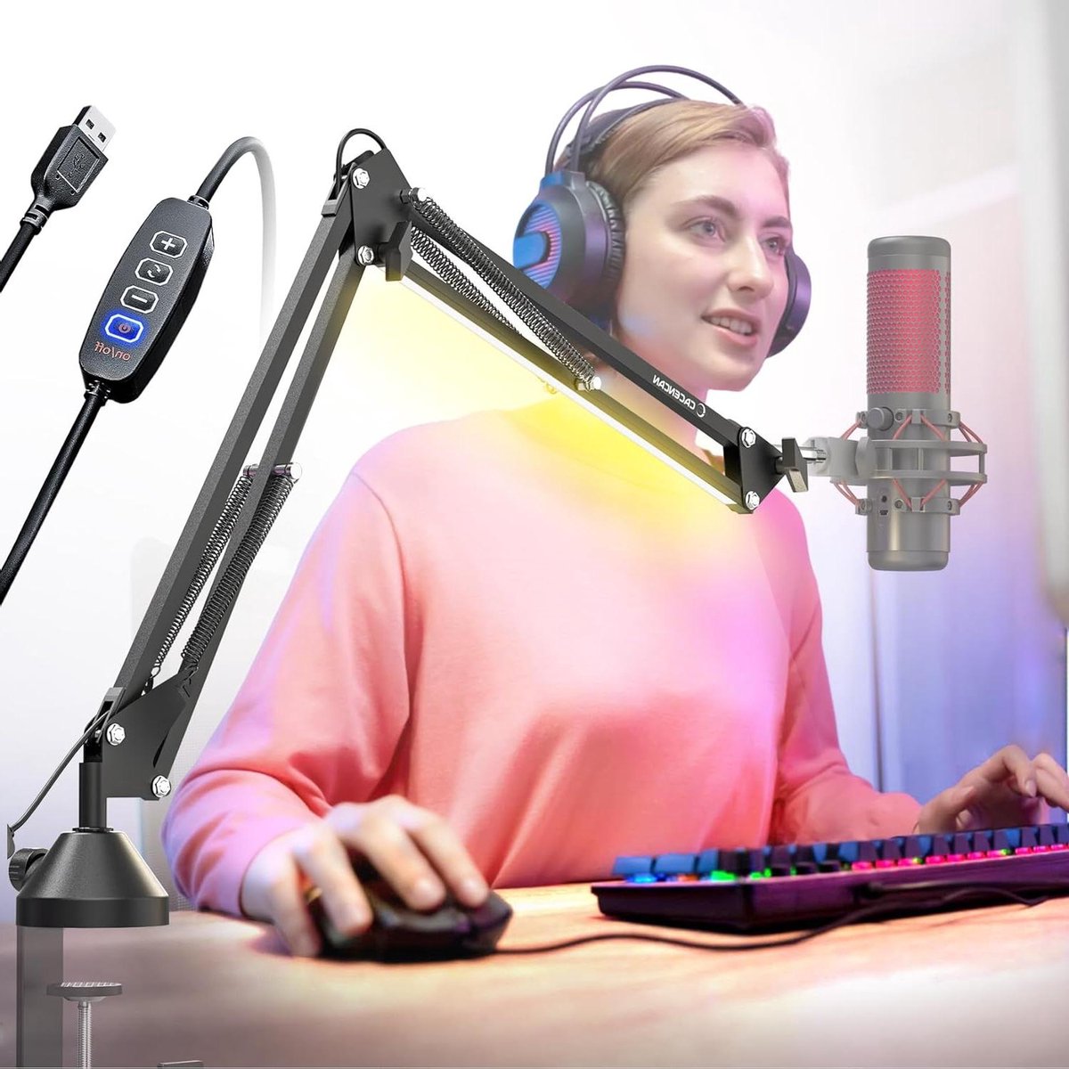 Microfoon Arm - Gallows Arm - Podcasting Opnemen - Geen Veergeruis - 42 cm - Zwart