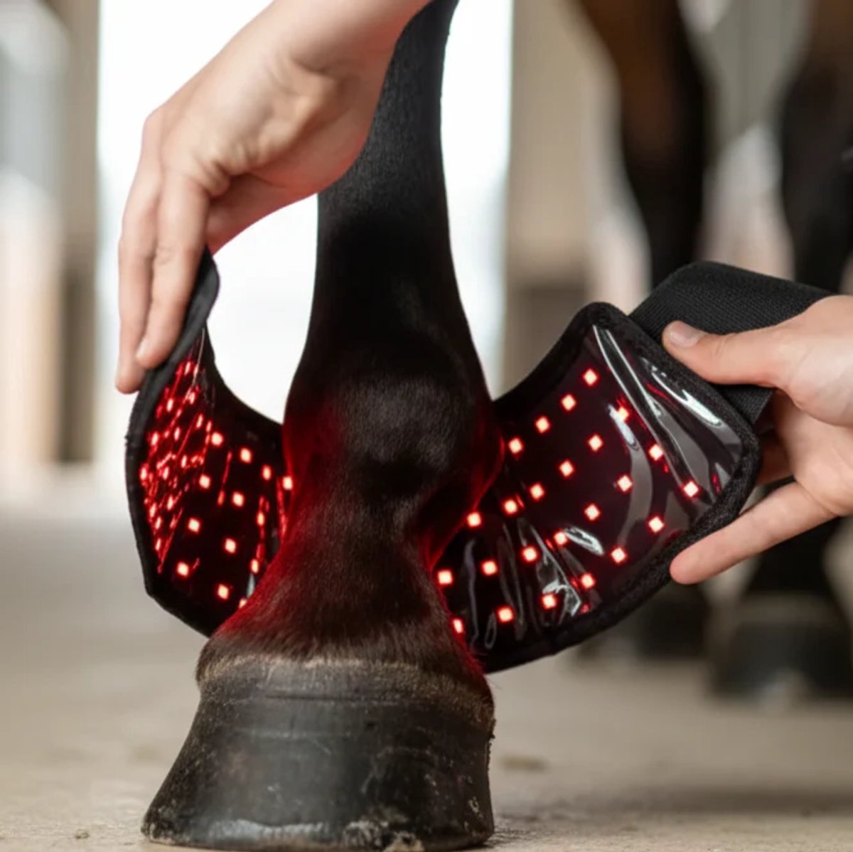 Equiled® - Rode Licht Therapie Hoefpad voor Paarden - Ondersteunt Herstel & Verbeterd De Doorbloeding - Tegen Hoefkatkatsteking, Hoefbevangenheid en Scheuren - Voor Sterke Gezonde Hoeven.