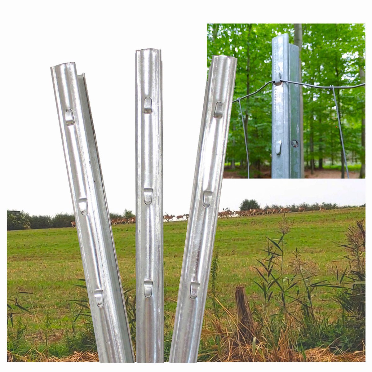 TRUTZHOLM 40x Z-Profiel Afrasteringspaal 215 cm - Gegalvaniseerd - Bosprofiel Wildrasters incl Haken Wildpaal Set