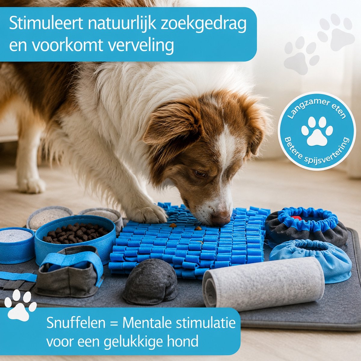 Snuffelmat Hond - Intelligentiespeelgoed met 10 Functies thumbnail 3