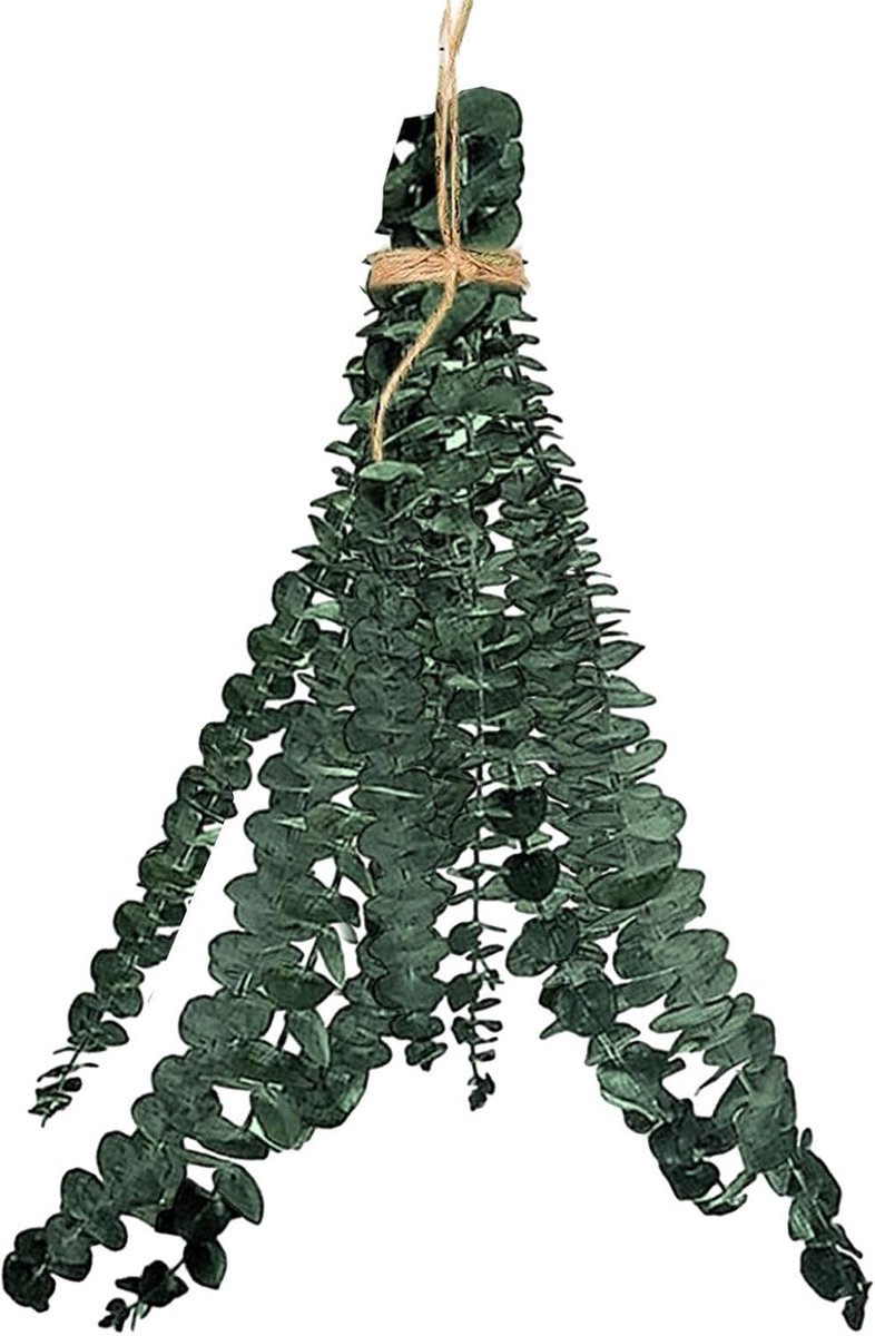 Gedroogde Eucalyptus Bundel - Aromatherapie Bladeren - Douche Ontspanning - Langdurige Fri