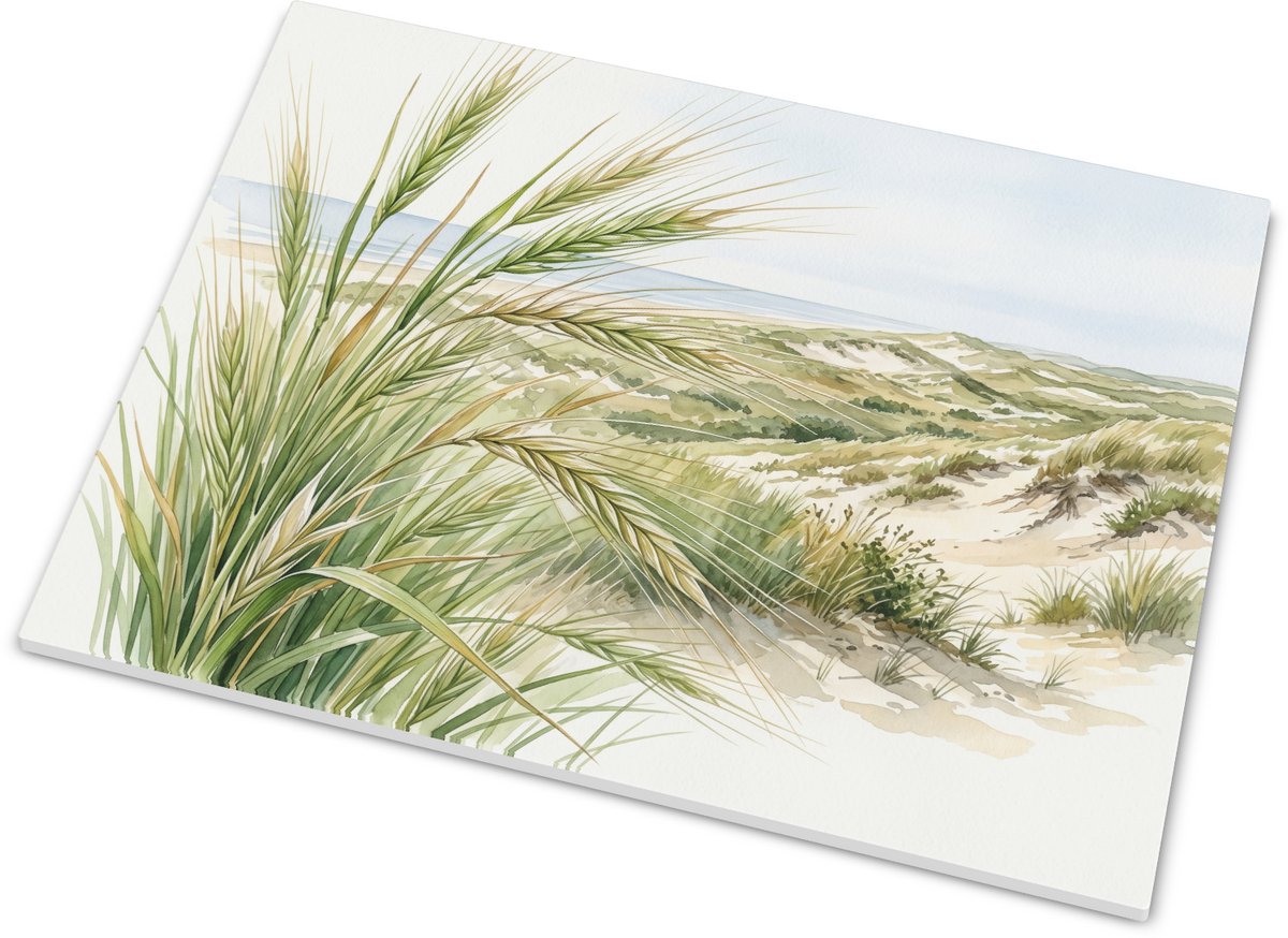 Liggend tegeltje met zandlangbaardgras in de kustduinen - Botanische aquarel van helmgras 