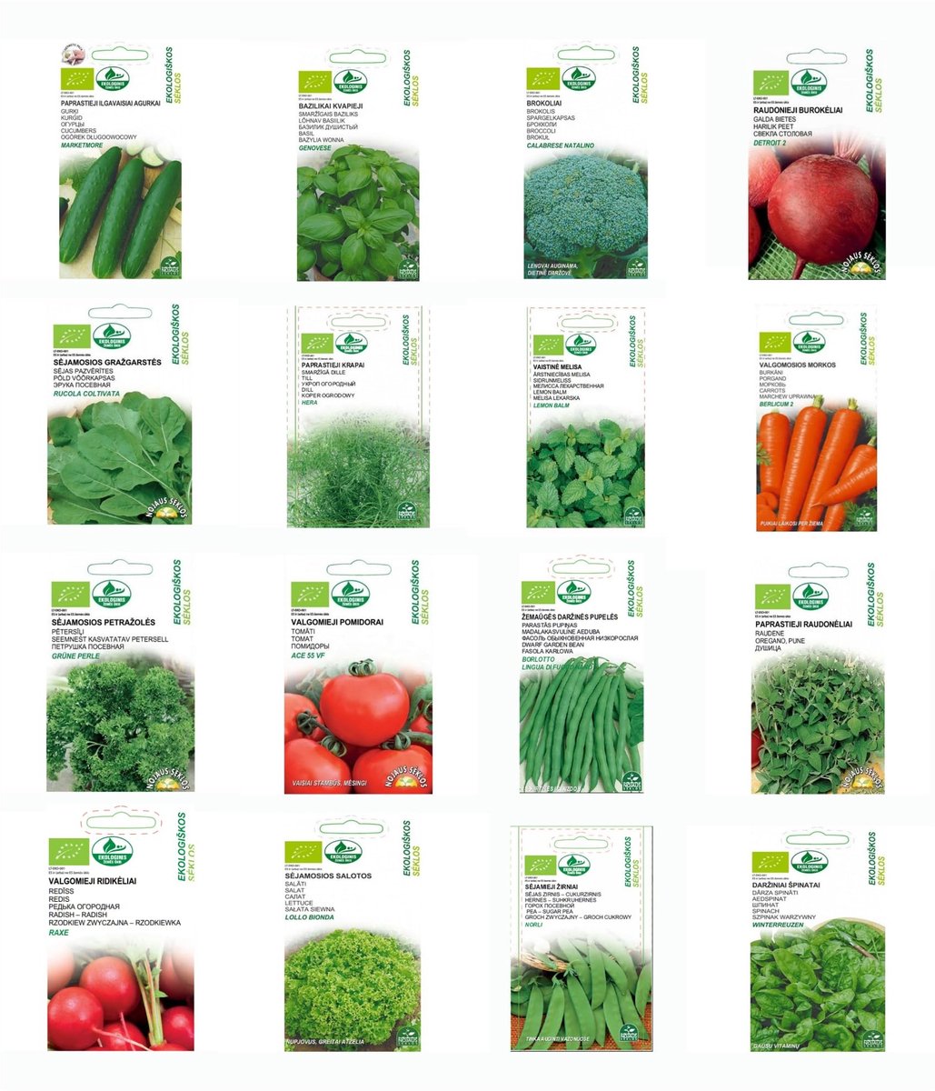 Dailygoods- Zaadset 16-delig - Groente-/Kruidenverzameling - Biologische Zaden - Tuinplanting - Voedzame Planten - Gezond Dieet - Tuinzaad