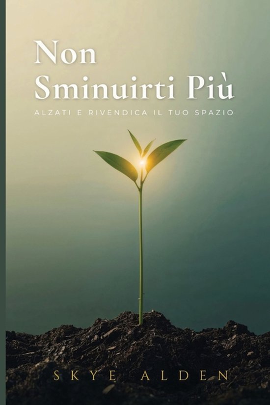 Non Sminuirti Più - cover
