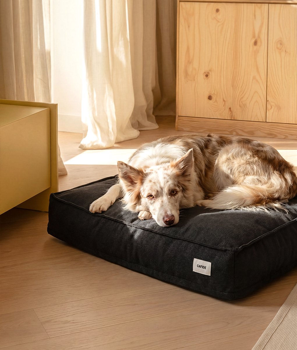 Comfortabele hondenmand – Zwart Antraciet – Zacht, wasbaar, anti-slip & afritsbare hoes – Cuadra