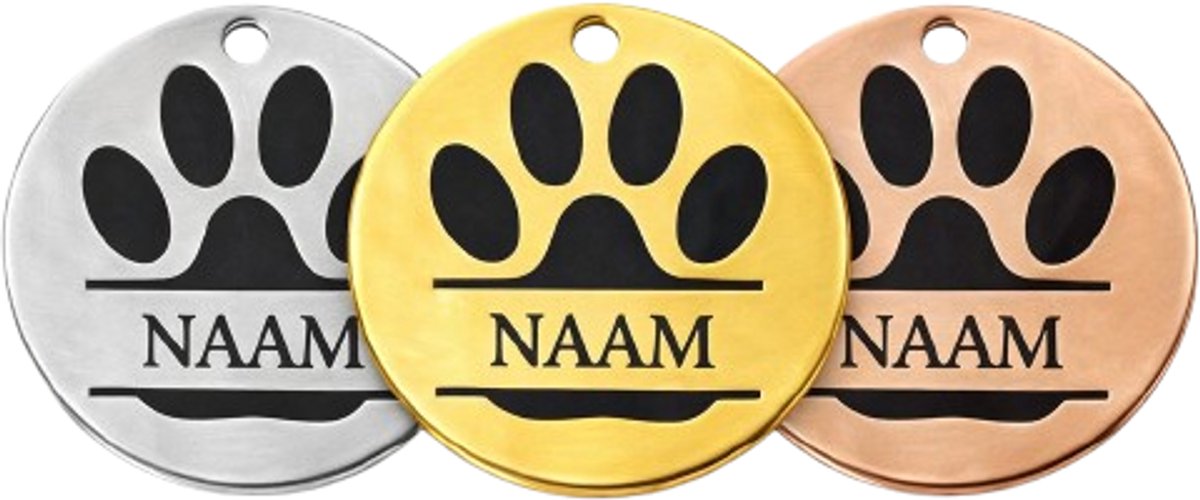 S-Zilver-Pootje-met QR-code-3cmx3cm-snelle levering-altijd aanpasbaar-naamplaatje hond
