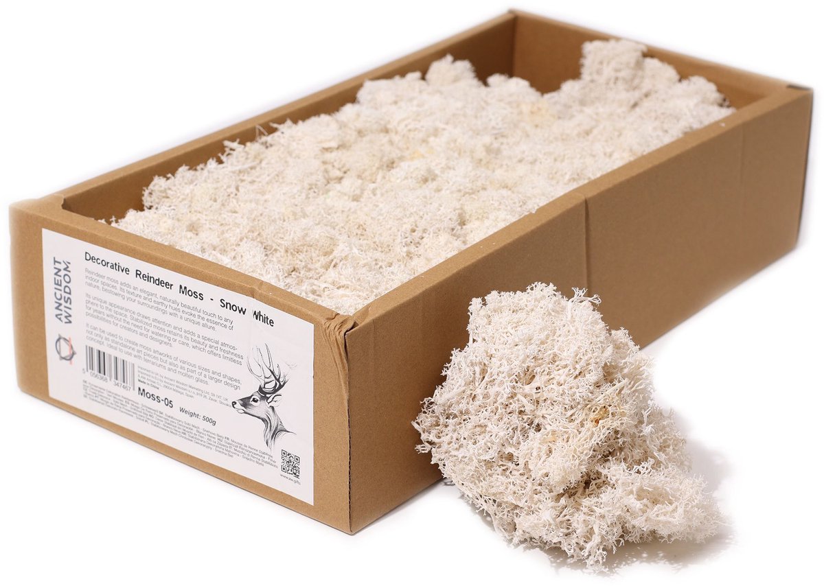 Rendiermos - Snow White - 635g Box