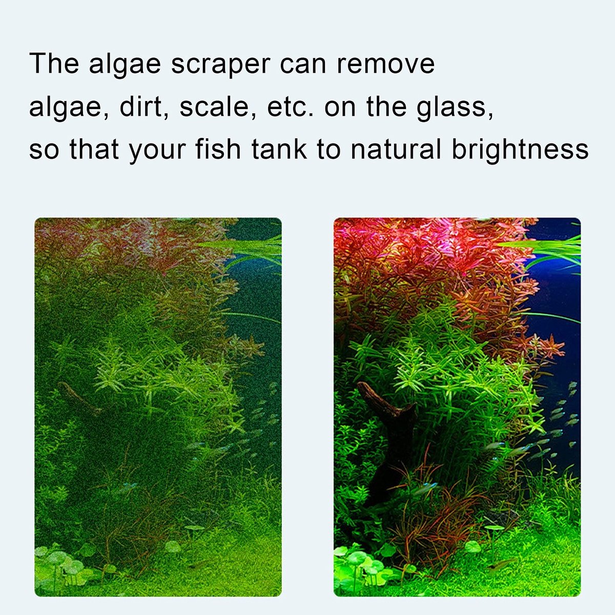 Dailygoods- Aquarium Schraper - Reinigingsgereedschap met Lange Handgreep - Verwisselbare Messen - Zacht/Scherp Lemmet - Rechthoekig Bladontwerp - Geschikt voor Alle Soorten Algen - Algenkrabber