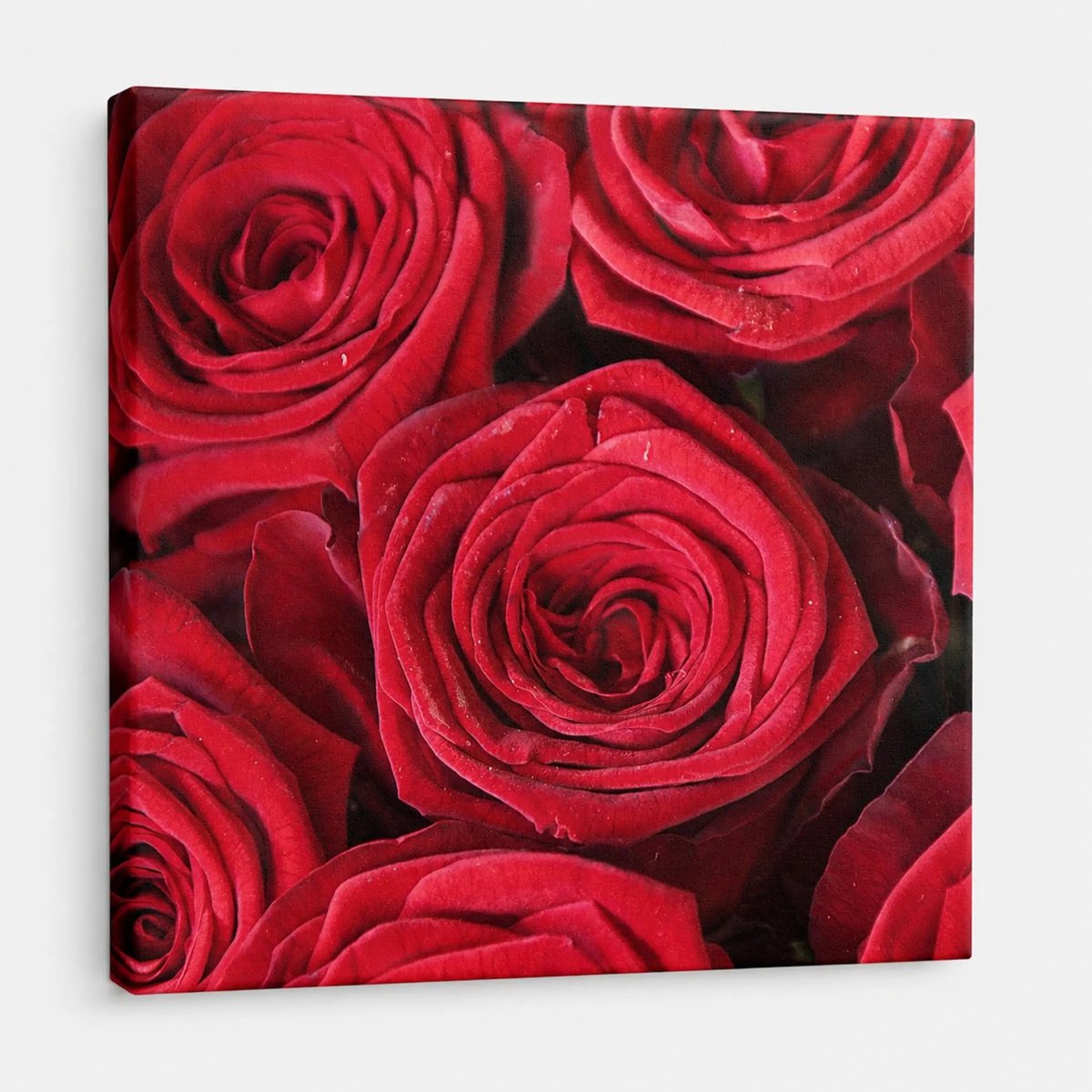 Canvas foto 20x20 cm - Wanddecoratie - Rode rozen - Muurdecoratie woonkamer - Slaapkamer decoratie - Kamer accessoires - Foto op canvas