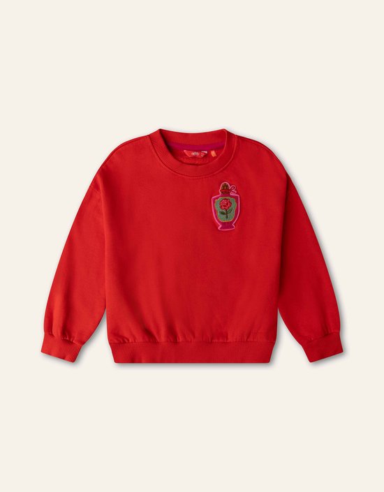 Hoki Sweater- maat152/12yr